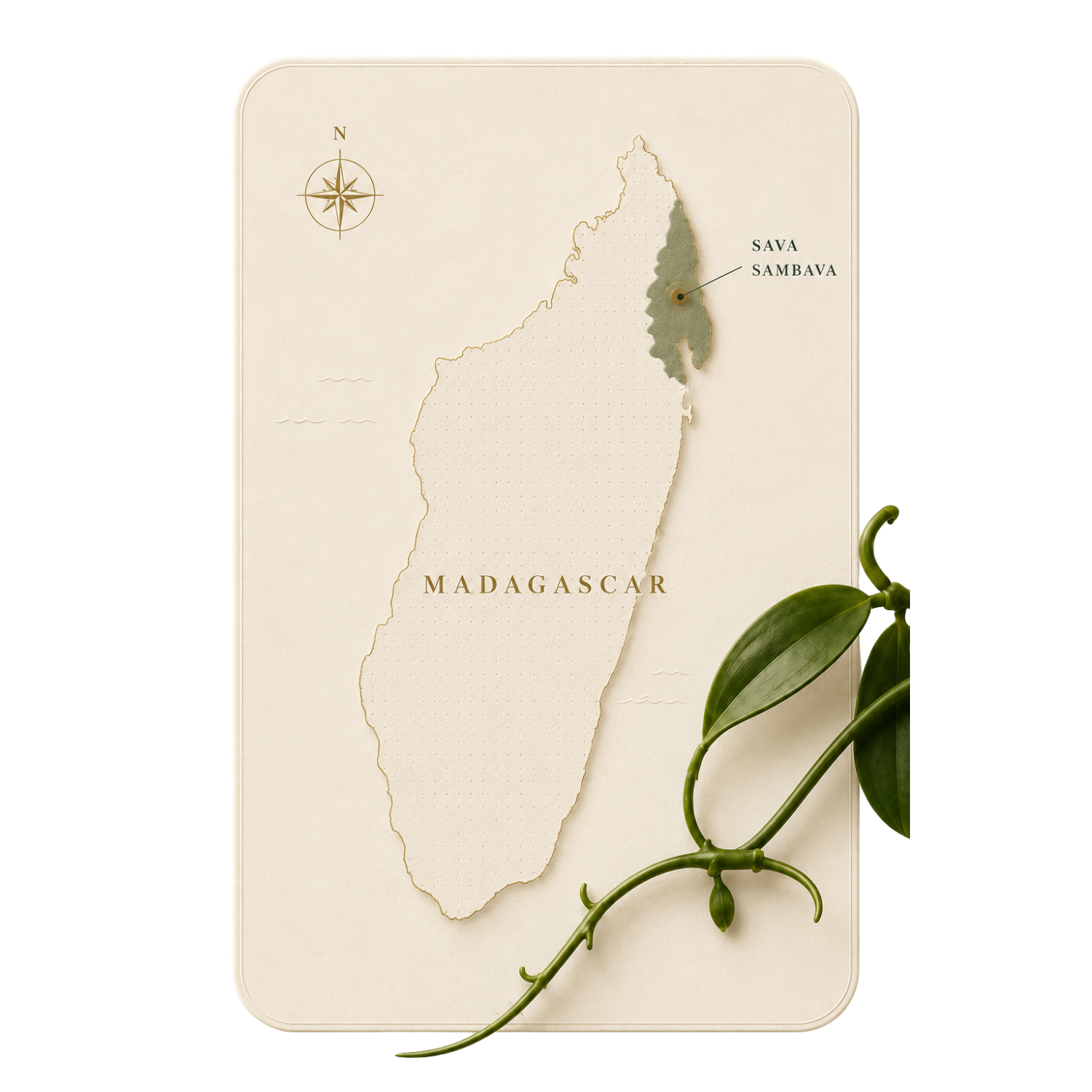 Carte de Madagascar — région SAVA, Sambava, avec orchidée de vanille et étapes du curing : échaudage, séchage au soleil, affinage en malles
