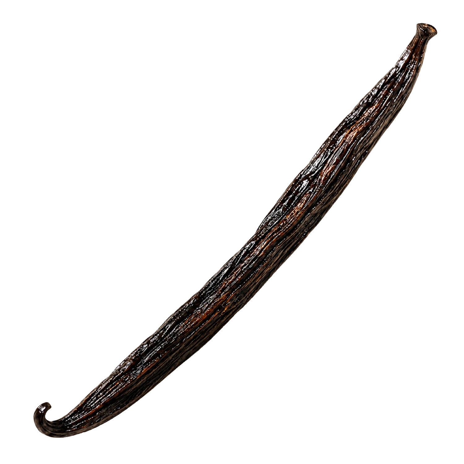 Gousse de Vanille Noire
